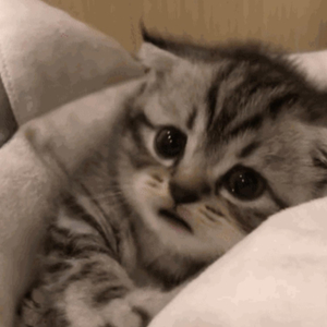 夫妻参加蒙面舞会的电影叫什么
